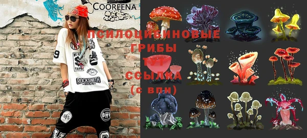 герыч Абаза