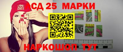 мяу мяу мука Владикавказ